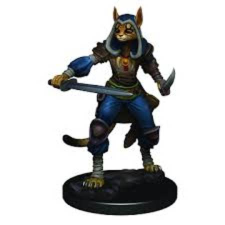 D&D Premium Painted Minis: Tabaxi Rogue