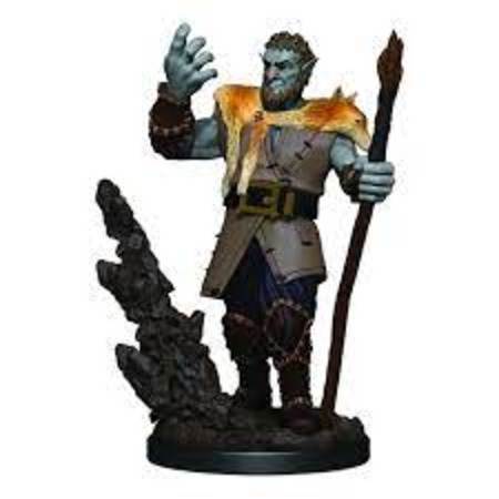 D&D Premium Painted Minis: Firbolg Druid