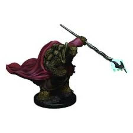 D&D Premium Painted Minis: Tortle Monk