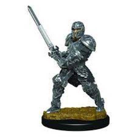 D&D Premium Painted Minis: Male Human Fighter