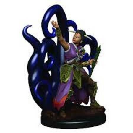 D&D Premium Painted Minis: Human Warlock