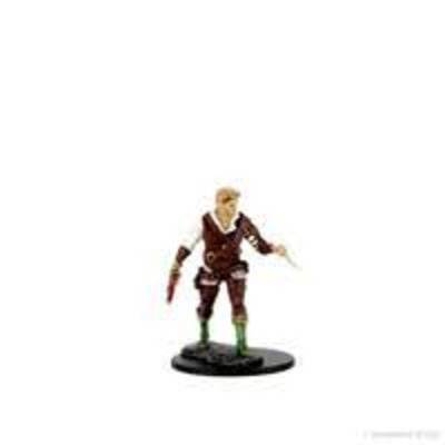 D&D Premium Painted Minis: Male Human Rogue