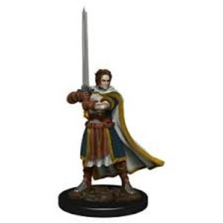 D&D Premium Painted Minis: Male Human Cleric