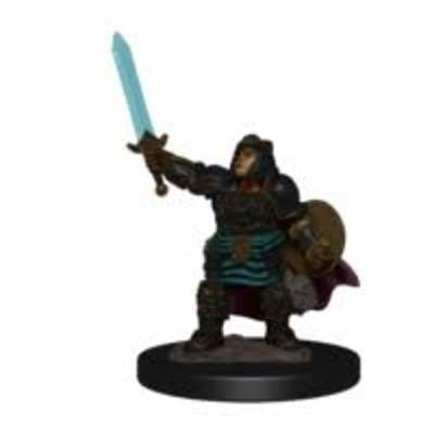 D&D Premium Painted Minis: Female Dwarf Paladin