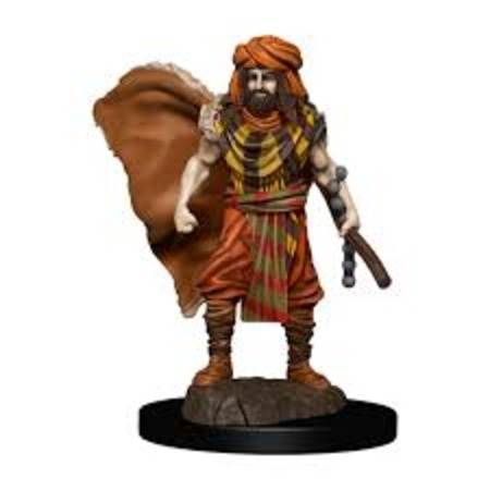 D&D Premium Painted Minis: Male Human Druid