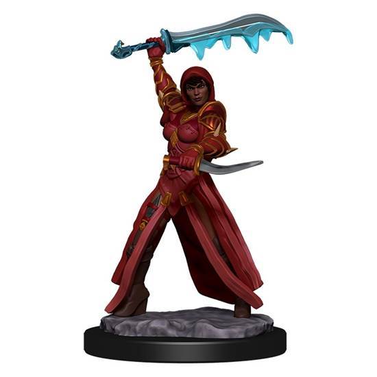 D&D Premium Painted Minis: Female Human Rogue