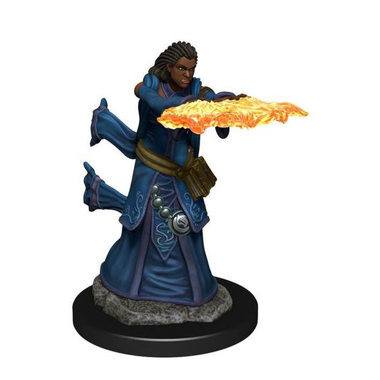 D&D Premium Painted Minis: Female Human Wizard