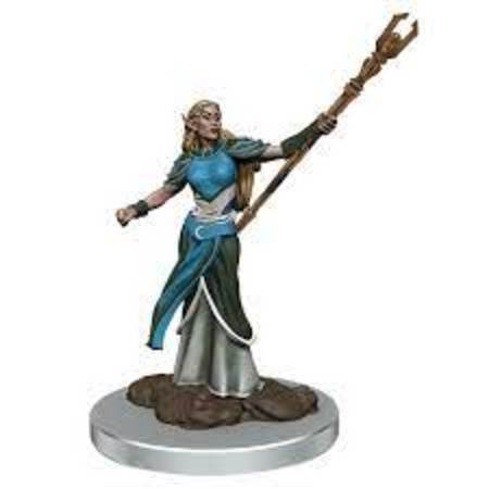 D&D Premium Painted Minis: Elf Sorcerer