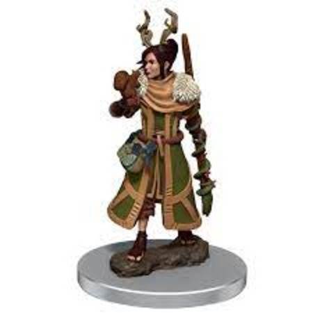 D&D Premium Painted Minis: Human Druid