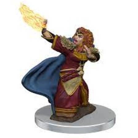 D&D Premium Painted Minis: Dwarf Wizard