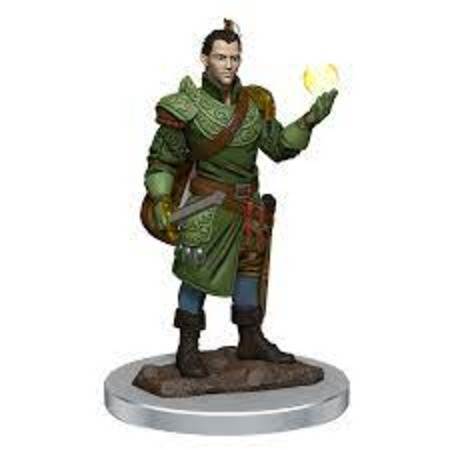 D&D Premium Painted Minis: Half-Elf Bard