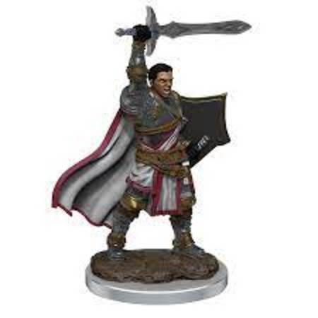 D&D Premium Painted Minis: Human Paladin