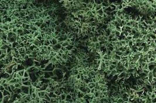 Lichen - Light Green (82 cu. in.)