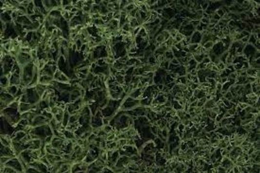 Lichen - Medium Green (82 cu. in.)