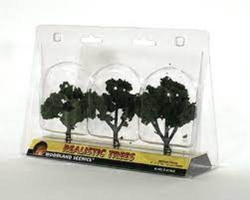 Medium Green Deciduous trees 3-4 inches