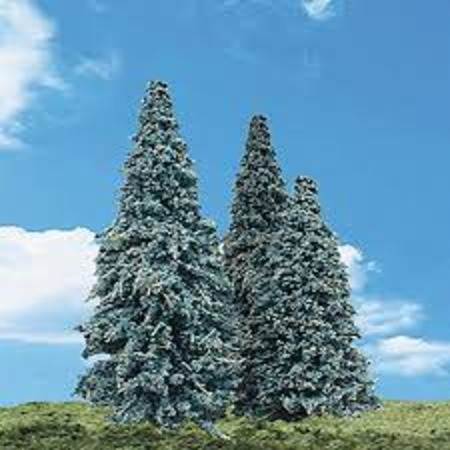 Classic Blue Needles Trees 2 1/2 - 4 Inch