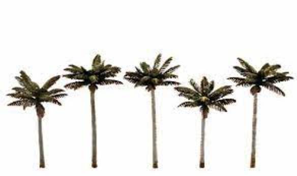 Classic Trees: Palm Trees