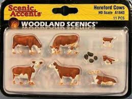 HEREFORD COWS