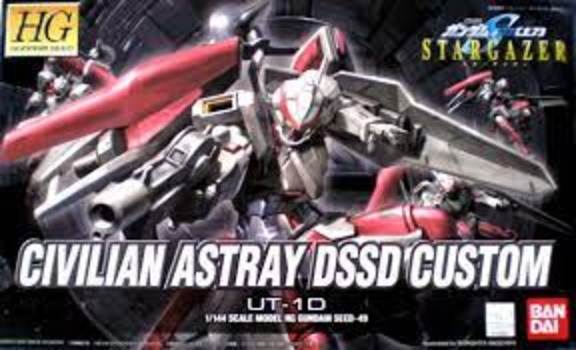 HG Civilian Astray DSSD Custom