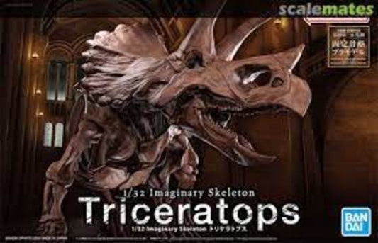 Imaginary Skeleton Triceratops