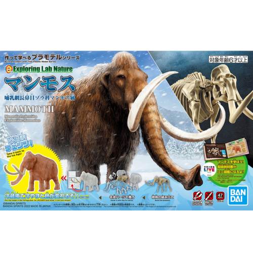 Exploring Nature Lab: Mammoth