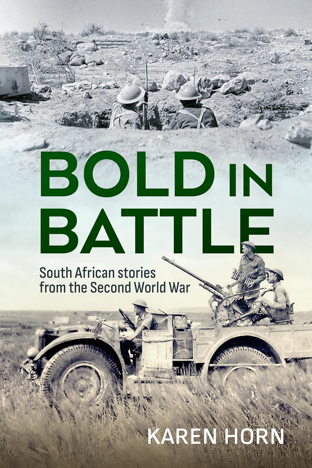 Bold in Battle: South African Stories from WWII