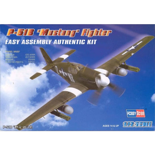 P-51B Mustang Fighter