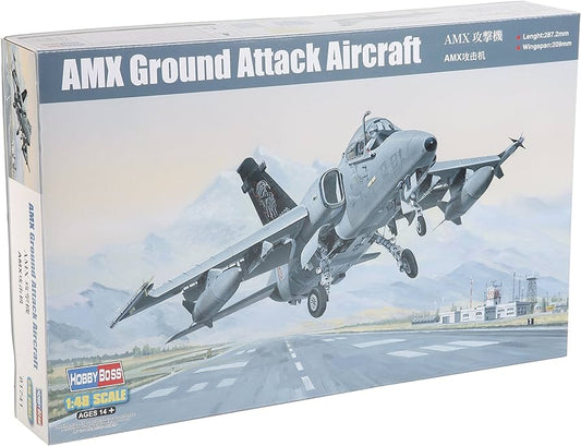 AMX Ground Attack Aircraft