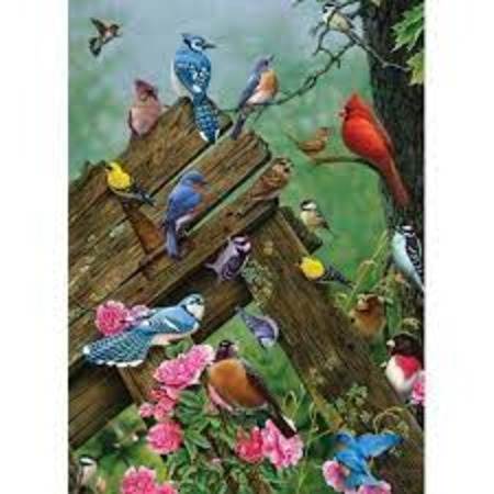 1000 Piece Puzzle: Birds Of The Forest