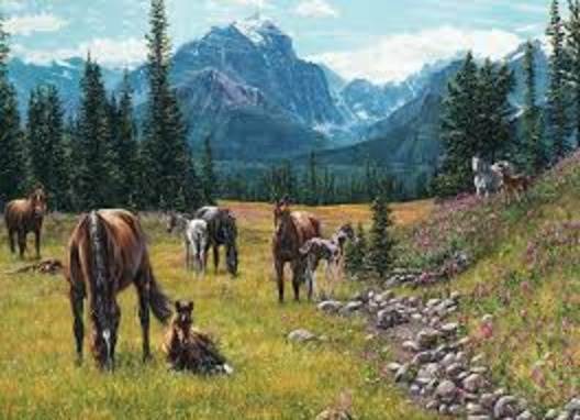 1000 Piece Puzzle: Horse Meadow