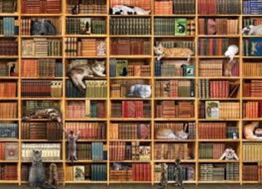 1000 Piece Puzzle: The Cat Library