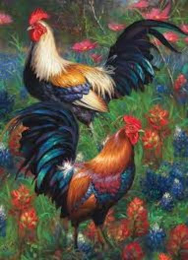 1000 Piece Puzzle: Roosters