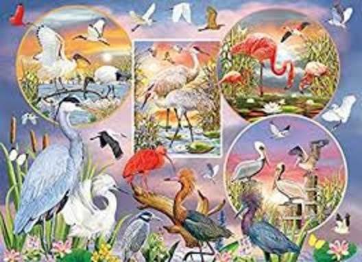 1000 Piece Puzzle: Waterbird Magic