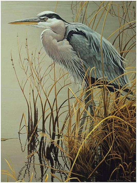 500 Piece Puzzle: Great Blue Heron